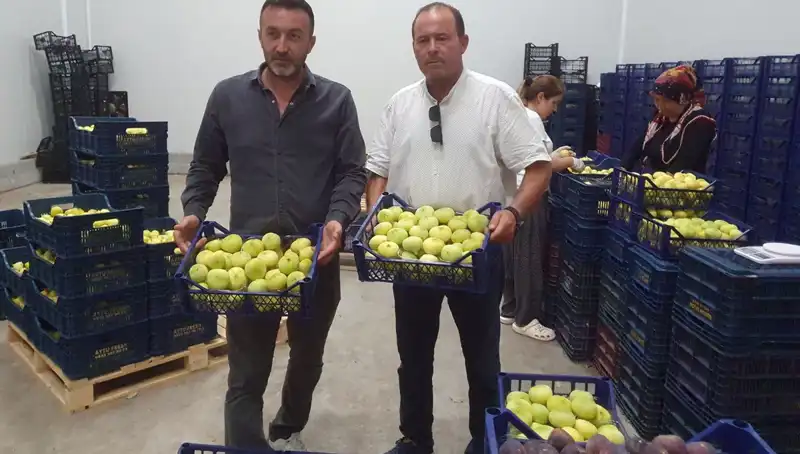 Mersinli Çiftçilerin Yüzü Güldü: İhraç Fırsatları Artıyor