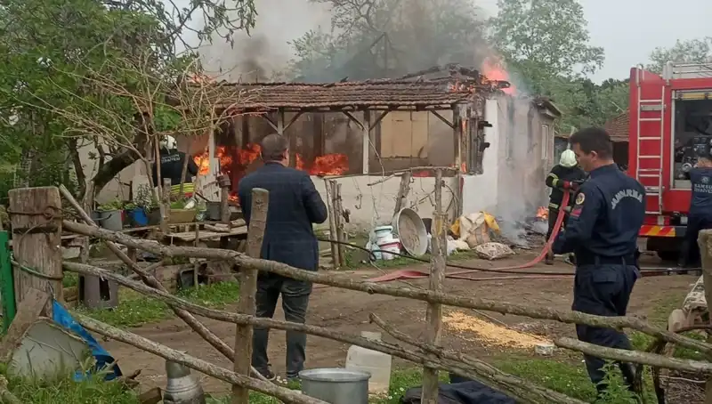 Elektrik Kontağı Yangını: Newport’ta Korkutan Olay ve Ayrıntılar