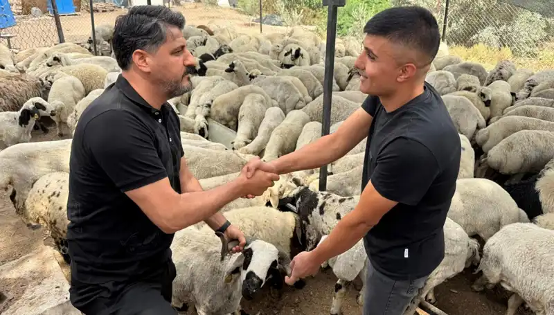 Kurbanlık Seçerken Dikkat Edilmesi Gereken Püf Noktaları