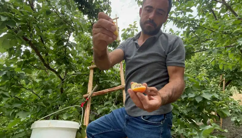 Eşsiz Lezzet: 50 TL ile 70 TL Arasında Fırsat Sunan Yeni Ürün