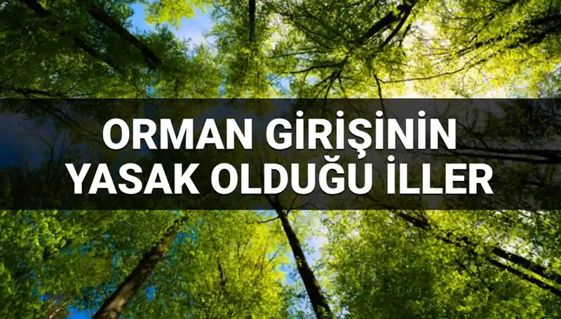 Orman Girişine Yasaklanan İller 2025: Hangi Bölgeler Etkilenecek?