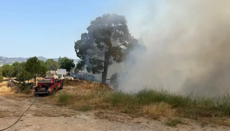 Muğla’da Orman Yangını: Doğanın Yüreğini Kestiren Felaket