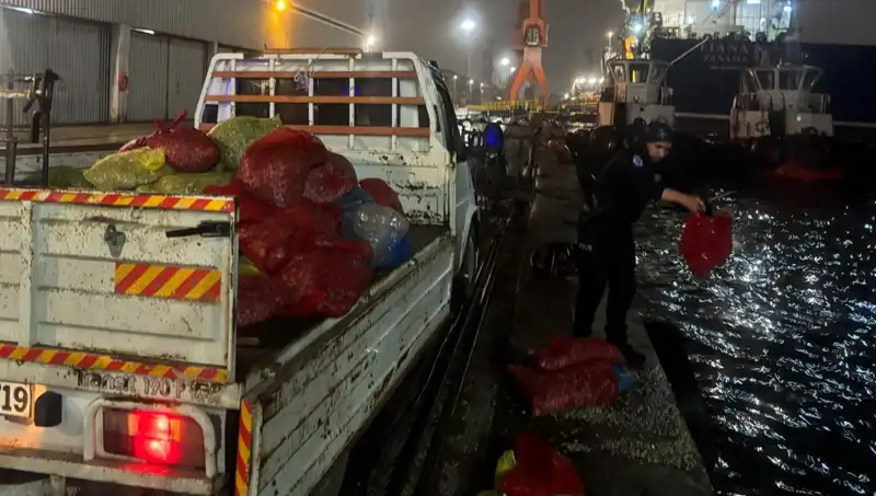 İzmir'de Kaçak Midye Avına Geçit Yok: Cezalar Uygulanıyor!