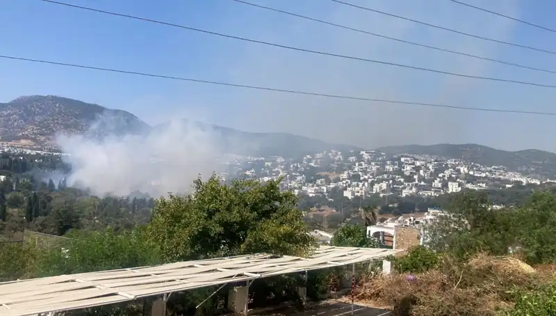 Muğla'daki Orman Yangınları Kontrol Altına Alındı: Neler Yaşandı?
