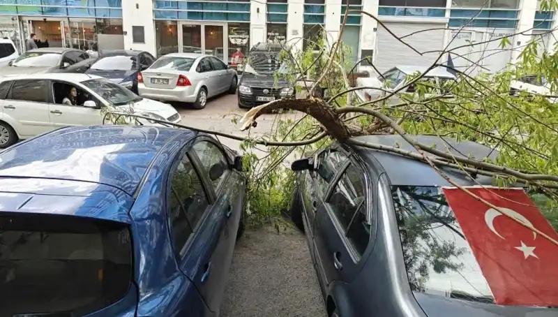 Kayseri'yi Vuran Şiddetli Fırtına: Dalları Kıran Doğa Olayı