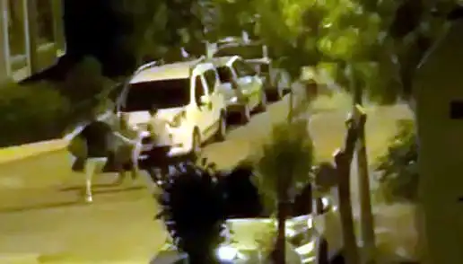 Avcılar’da 3 Kişinin Saldırısına Uğrayan Adamı Cevap Veren Vatandaşlar Kurtardı
