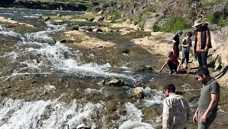 İnci Kefali Göçü: Doğanın İhtişamına Tanık Olun!