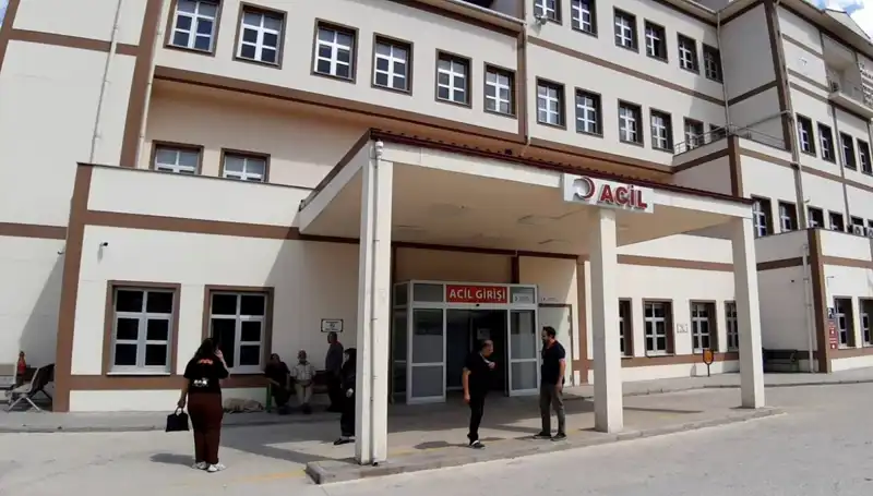Bolu’da Tartışmalara Neden Olan Ayı Avına Onay Çıktı