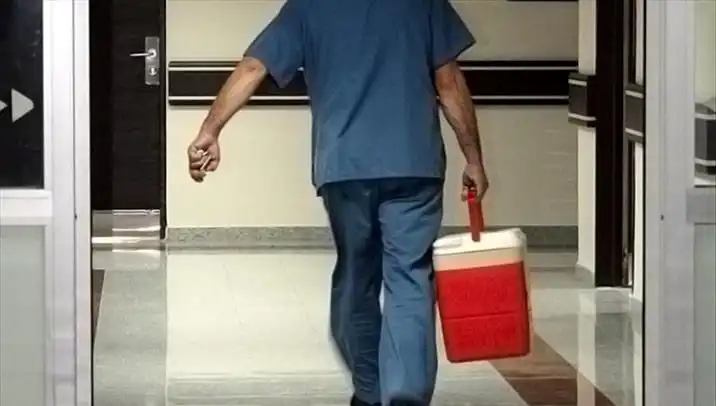 Organ Bağışında Dijital Dönüşüm: e-Devlet ve e-Nabız ile İşlemler Kolaylaştı