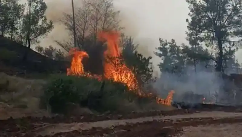 Denizli'de Felaket: Orman Yangını 7 Hektar Alanı Küle Çevirdi