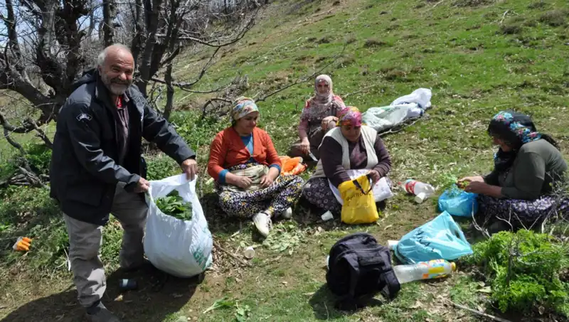 Yüzlerce Ailenin Geçim Kaynağı: 250 Lira Kilosu Olan Kıymetli Toprak Ürünü