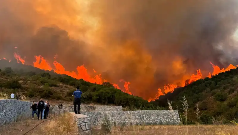 Doğa Felaketi: Bursa, Kocaeli ve İzmir'de Orman Yangınları Paniği