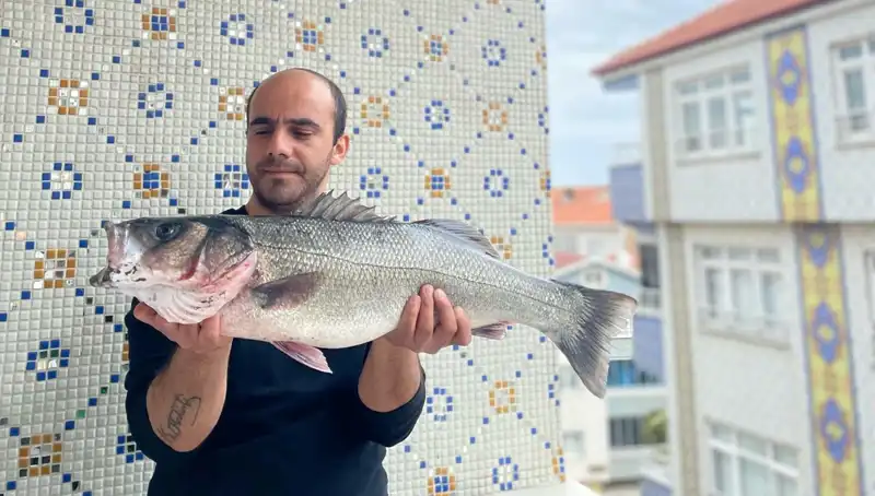 7,5 Kiloluk Dev Levrek İle Balıkçılar Şaşkın: Yeni Rekor Mu Geliyor?