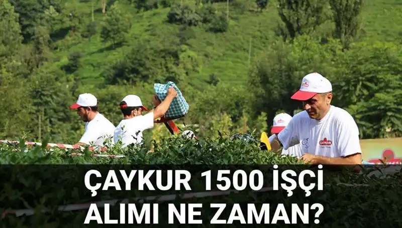 Çaykur İşçi Alımı Başvuru Tarihleri ve Detayları Açıklandı!