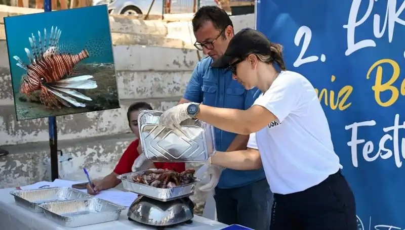 Antalya’da İstilacı Aslan Balığı Avlama Yarışması: Denizin Üzerindeki Mücadele