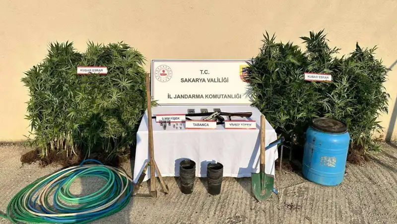 Sakarya’da Uyuşturucu Operasyonu: 1 Kişi Tutuklandı, Şok Edici Detaylar Ortaya Çıktı