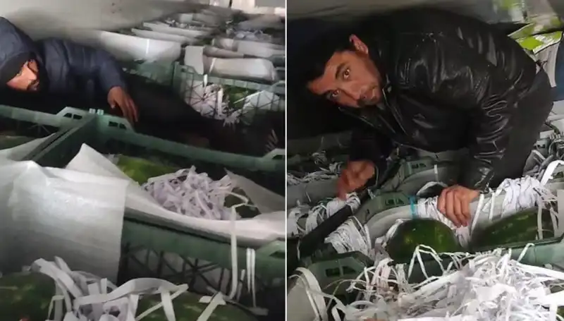 Karpuzların Arasından Çıkan Göçmenler: Sınırda Şok Edici Olay