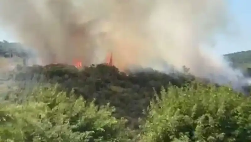 İstanbul Orman Yangını: Vatandaşların Tahliyesi ve Alınan Önlemler