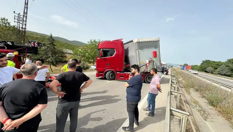 Seyir Halindeki Araçta Arı Sokuşu: Trafik Tamamen Kilitlendi!
