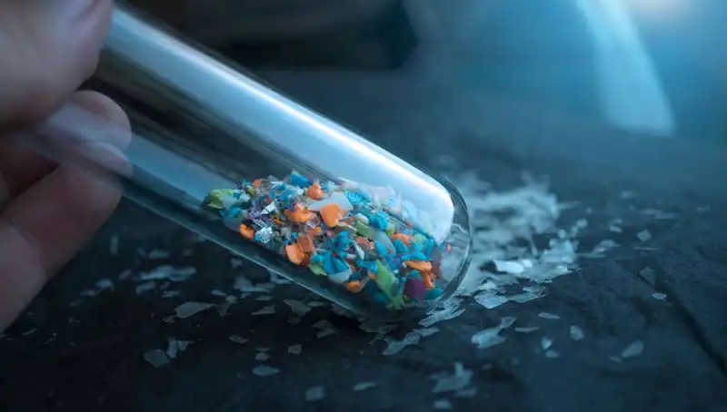 Mikroplastik Kirliliği: İnsan Beyninde Yarattığı Tehlikeler