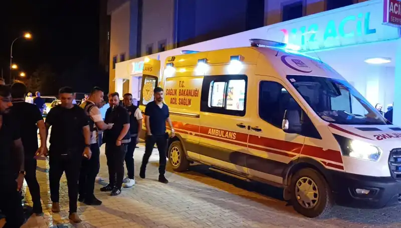 Kardeşini Korumak İçin Müdahale Eden Genç, Trajik Olayla Yüzleşti
