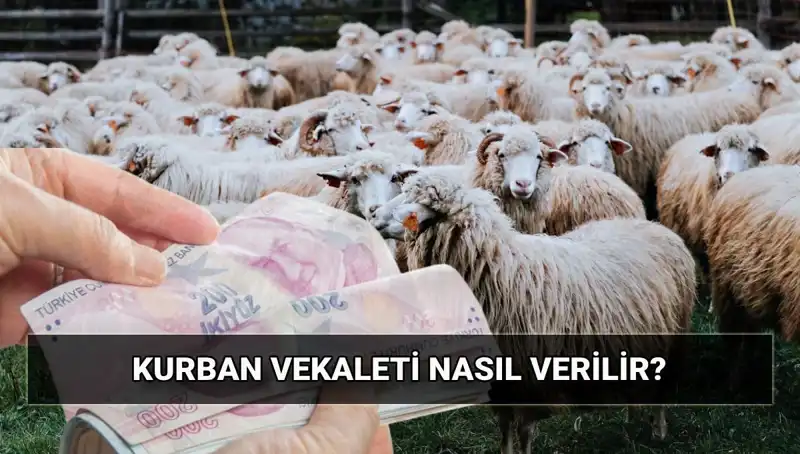 Vekaletle Kurban Kesimi: Diyanet’in Yeni Uygulaması ve Bedelleri