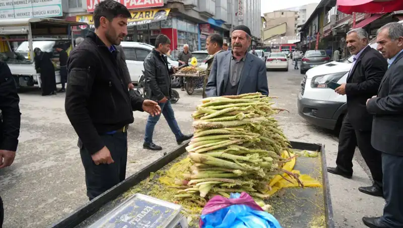 Dağlık Alanların Gizemi: Şeker ve Kanserle Mücadelede Doğal Bir Mucize