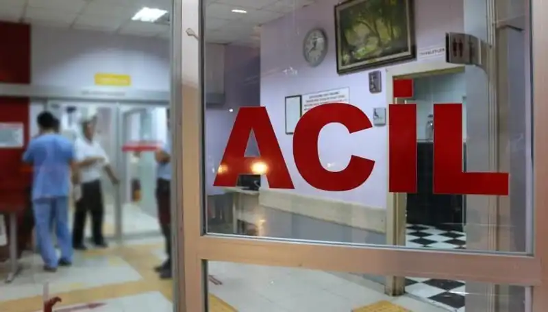 Küçük Kalbin Sırrı: Acı Bir Veda ve Öğretici Bir Hikaye