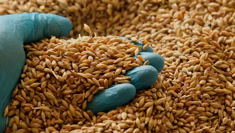 Kalp Hastalığı Riskini Azaltan Beslenme İçin Uzman İpuçları