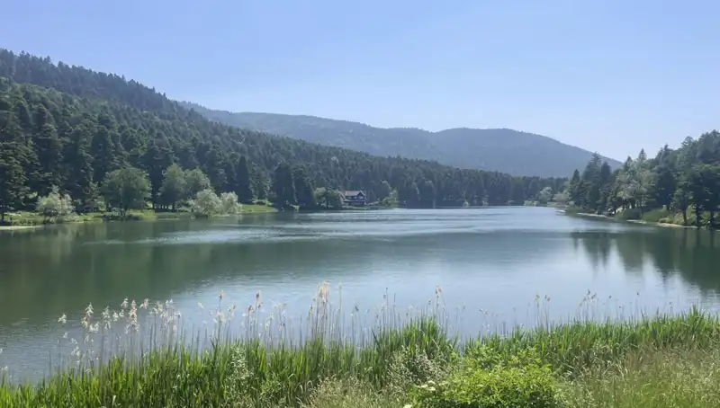 Bolu'nun Milli Parkları Yaz Sezonunda Ziyaretçi Rekoru Kırıyor