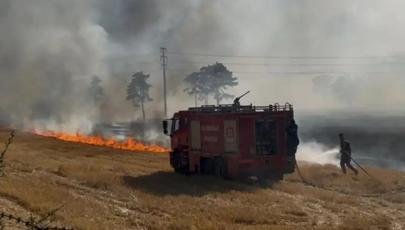 Kırklareli'ndeki Anız Yangını Korku Dolu Anlar Yaşattı