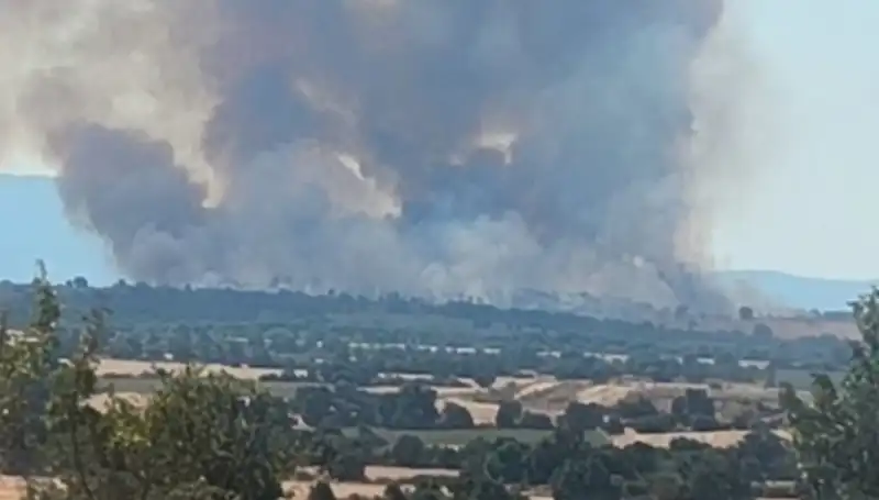 Komşu Ülkedeki Orman Yangını Edirne’yi Tehdit Altına Aldı