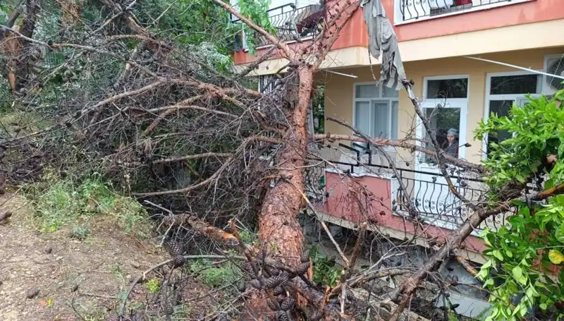 Yağmur Seddi: Bina Tavanının Çökmesi Neden Oldu?