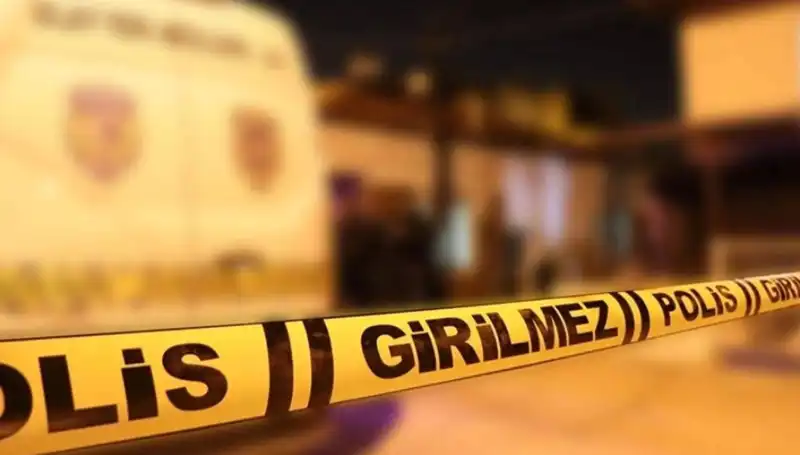 Diyarbakır'da Kayınpeder Dehşeti: Aile İçi Şiddetin Sonucu