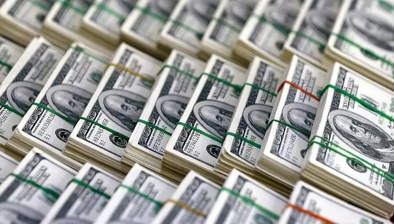 Doların Hızla Yükselişi: Uzmanlardan Korkutan Uyarılar!