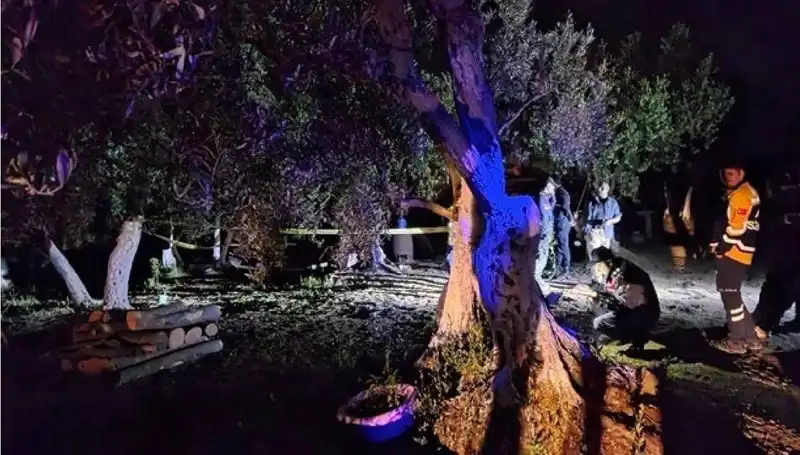 Çiftlikteki Baltalı Vahşete Bir Tutuklama: Ne Olmuştu?