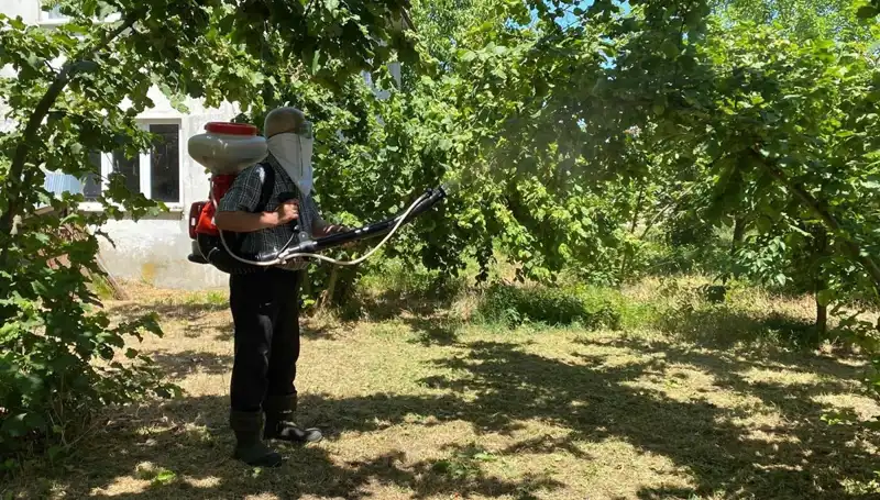 Çiftçilerin Umudu: Kükürt ve Samuray Arısı ile Verimde Yeni Dönem