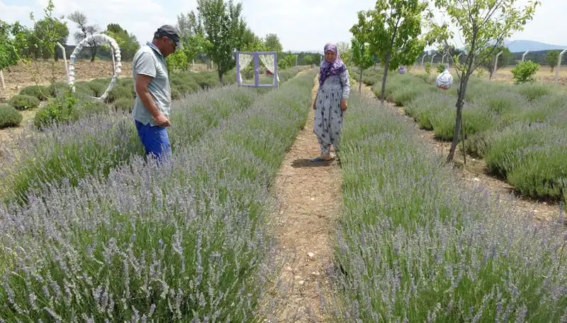 Hobi Olarak Başladılar, Şimdi Kendi İşletmelerini Yönetiyorlar