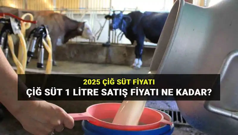 2025 Yılı Çiğ Süt Fiyatları: Ulusal Süt Konseyi’nin Yeni Rakamları Neler?